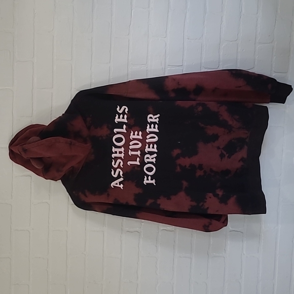 A-Holes Live Forever hoodie - Picture 3 of 4